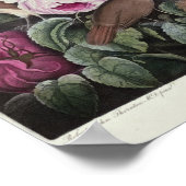 バラ、「フローラの神殿」より ポスター (角)