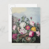 バラ、「フローラの神殿」より ポストカード (正面/裏面)