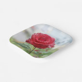 バラ ペーパープレート (傾斜あり)