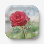 バラ ペーパープレート (正面)