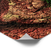 バラ ポスター (角)