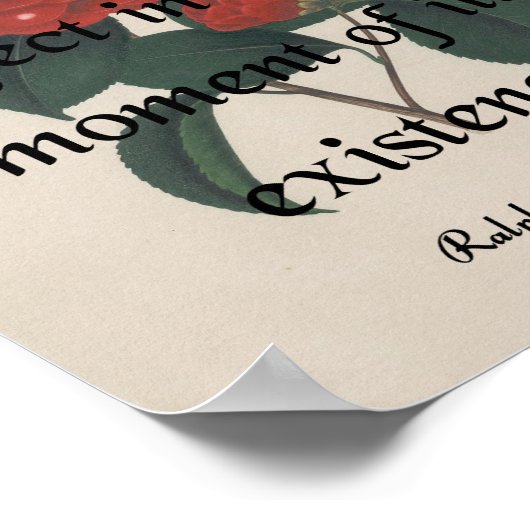 バラ ポスター (角)