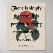 バラ ポスター (正面)