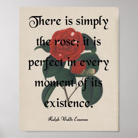 バラ ポスター (正面)