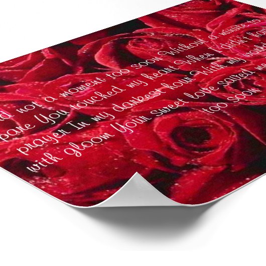 バラ ポスター (角)