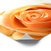 バラ ポスター (角)