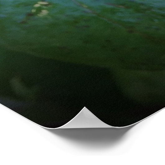 バラ、 ポスター (角)