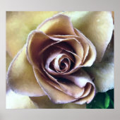 バラ ポスター (正面)