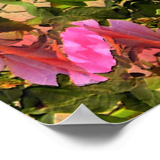 バラ..... ポスター (角)