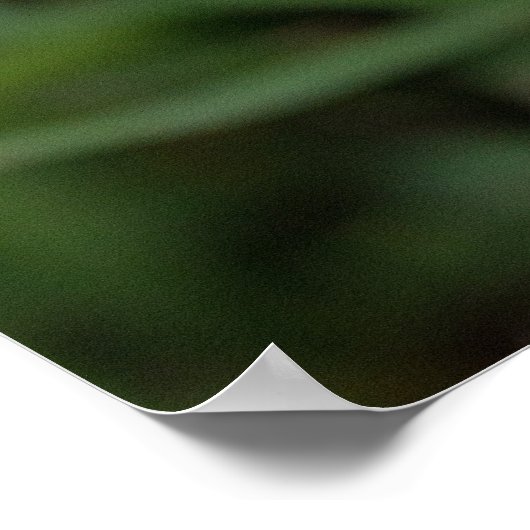 バラ ポスター (角)