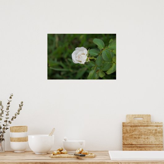 バラ ポスター (キッチン)