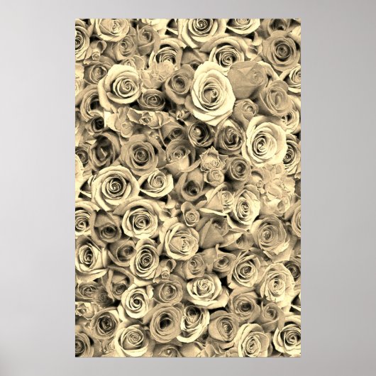 バラ ポスター (正面)