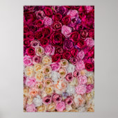 バラ ポスター (正面)