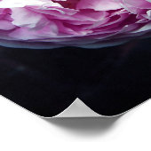 バラ ポスター (角)