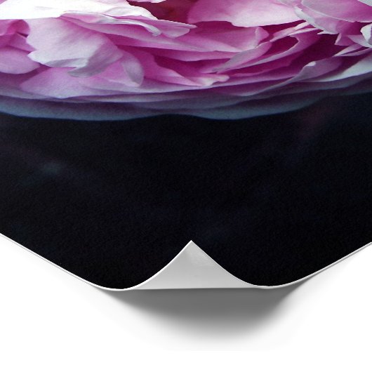 バラ ポスター (角)