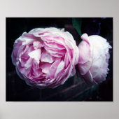 バラ ポスター (正面)