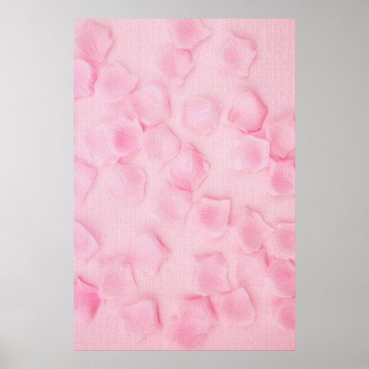 バラ ポスター (正面)