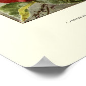 バラ ポスター (角)