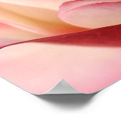 バラ ポスター (角)