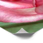 バラ ポスター (角)