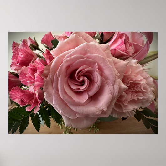 バラ、 ポスター (正面)