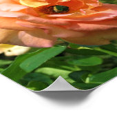 バラ ポスター (角)