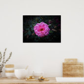 バラ、 ポスター (キッチン)