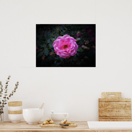 バラ、 ポスター (キッチン)