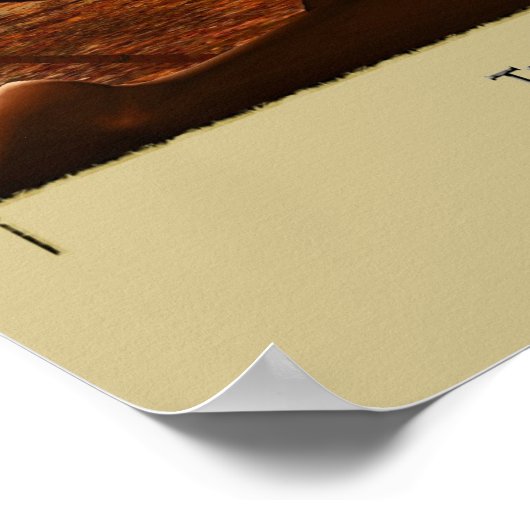 バラ ポスター (角)