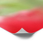 バラ ポスター (角)