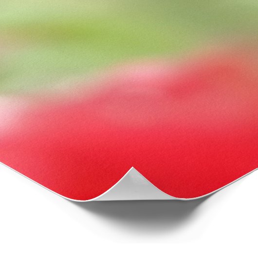 バラ ポスター (角)