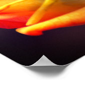 バラ ポスター (角)