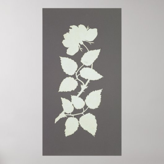 バラ ポスター (正面)