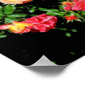 バラ ポスター (角)