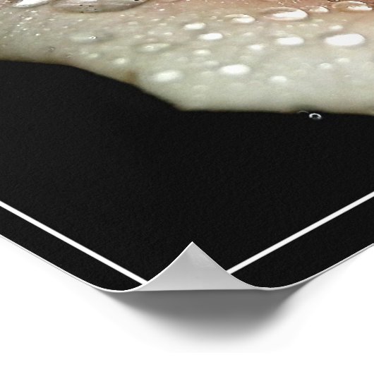 バラ ポスター (角)