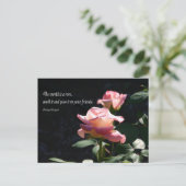 バラ ポストカード (スタンド正面)