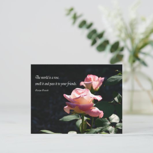 バラ ポストカード (スタンド正面)