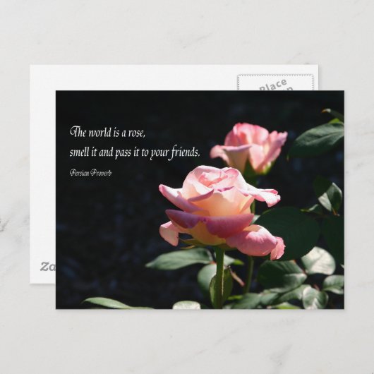 バラ ポストカード (正面/裏面)