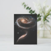 バラ ポストカード (スタンド正面)