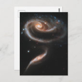 バラ ポストカード (正面/裏面)