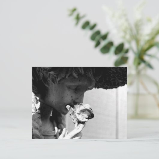 バラ ポストカード (スタンド正面)