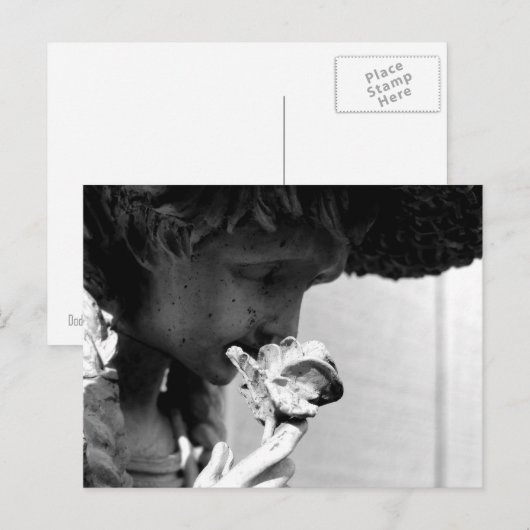 バラ ポストカード (正面/裏面)