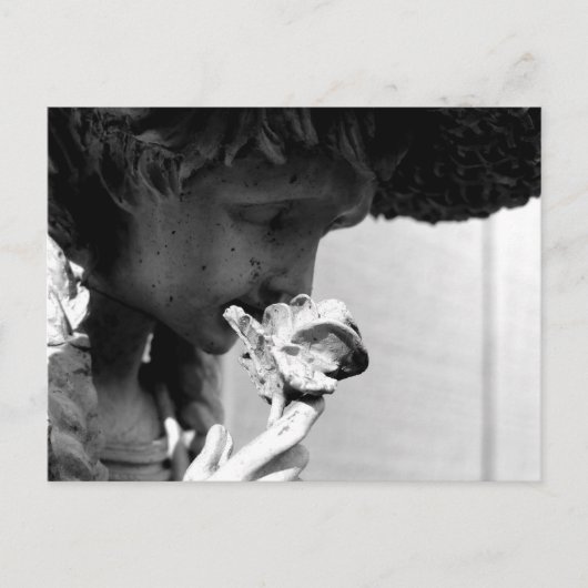 バラ ポストカード (正面)