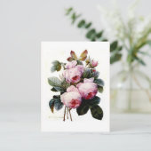 バラ ポストカード (スタンド正面)