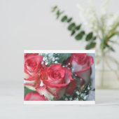 バラ ポストカード (スタンド正面)