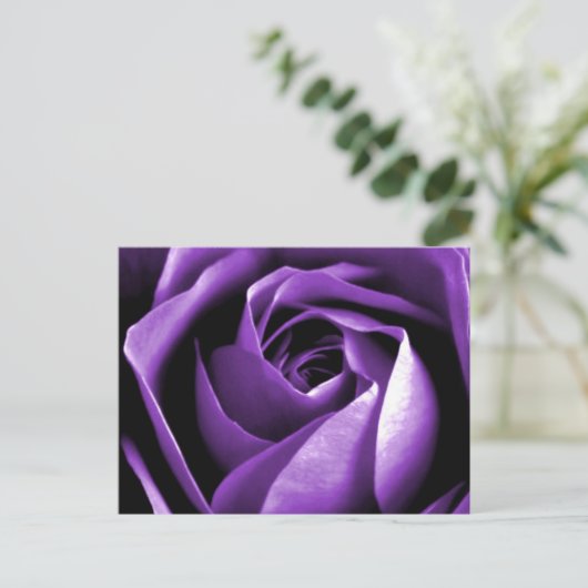 バラ ポストカード (スタンド正面)