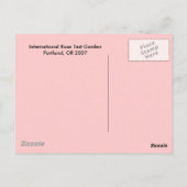 バラ ポストカード (裏面)