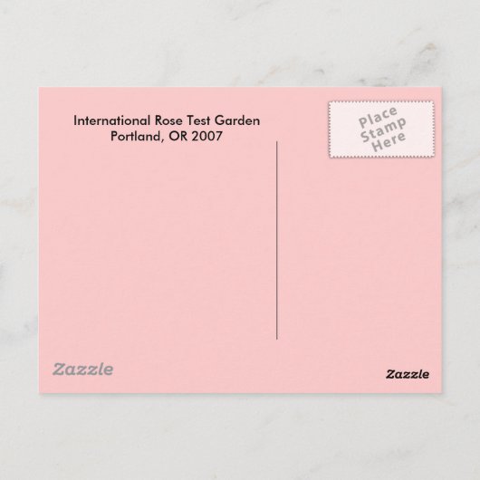 バラ ポストカード (裏面)