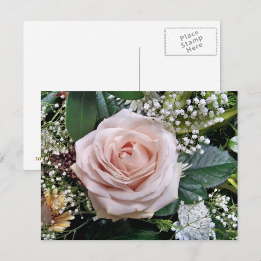 バラ ポストカード (正面/裏面)