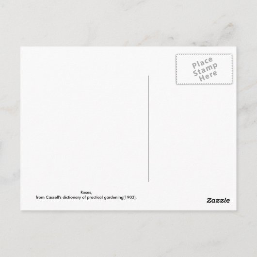 バラ ポストカード (裏面)